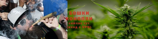 дмт Медногорск