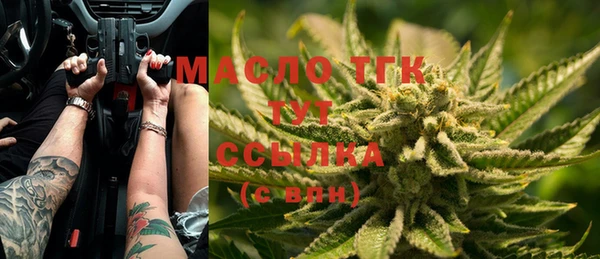тгк Медвежьегорск